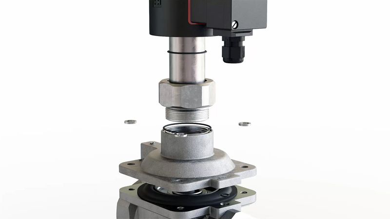 Comp 1 (0-00-01-24).jpg