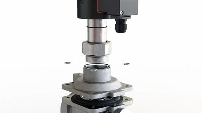 Comp 1 (0-00-01-24).jpg