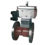 Type P-NFA13   with pneumatic actuator